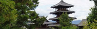 「後ろから見た法隆寺」　撮影者：恒川恵一　会員