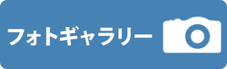 フォトギャラリー
